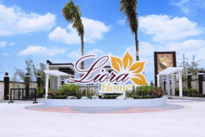 house-and-lot-for-sale